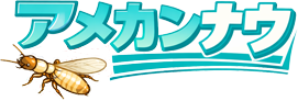 アメカンナウ